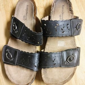 Earth Origins slides